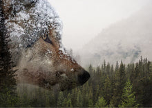 Carica l'immagine nel visualizzatore di Gallery, Wallà_Wolf