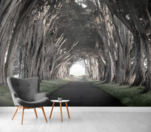 Carica l'immagine nel visualizzatore di Gallery, Wallà_Road to peace